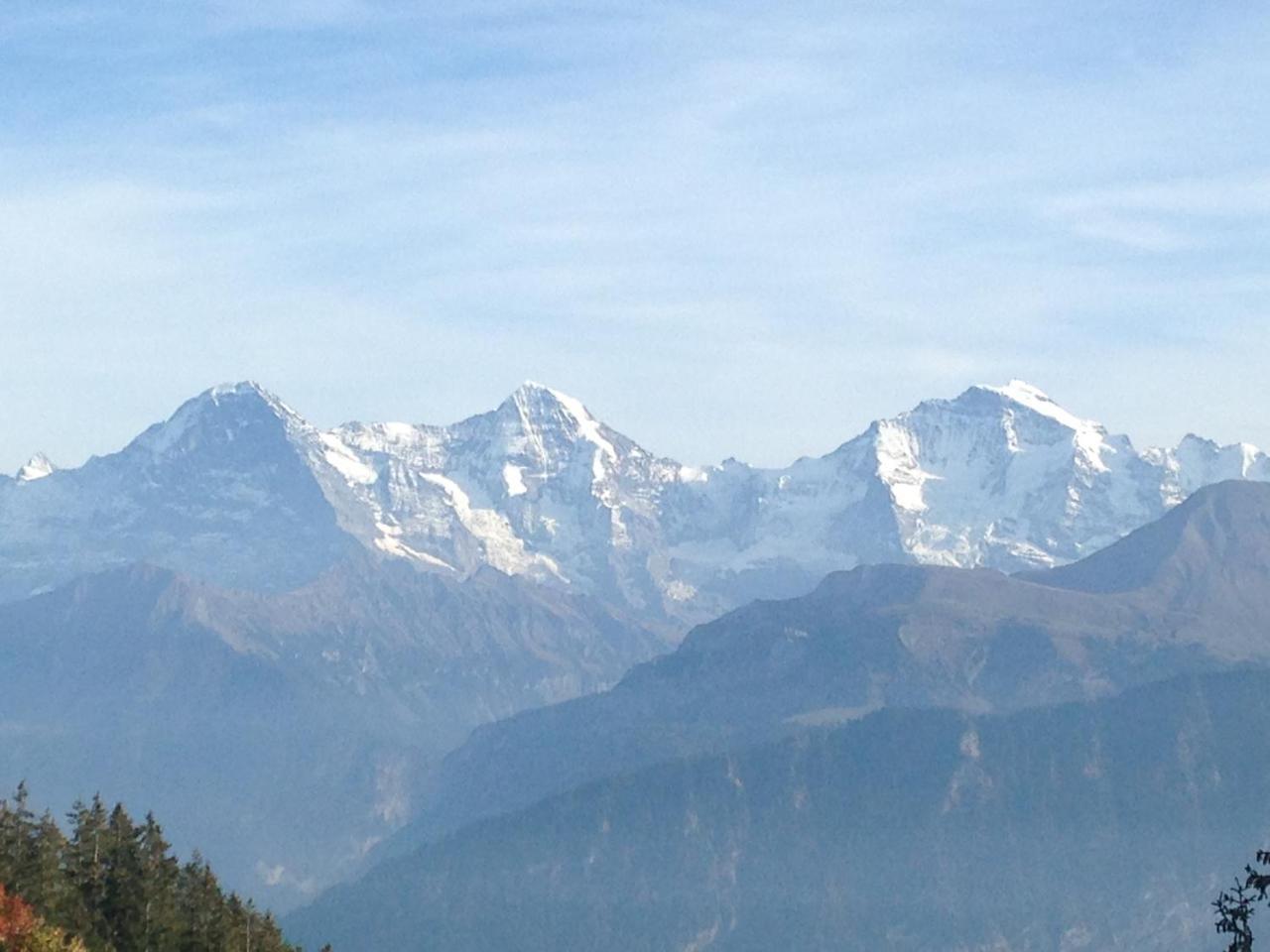 Swiss Seeblick Apartment Mit Hotelanbindung Beatenberg Buitenkant foto