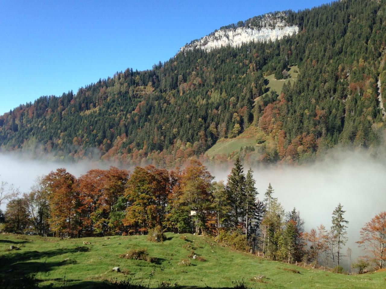 Swiss Seeblick Apartment Mit Hotelanbindung Beatenberg Buitenkant foto
